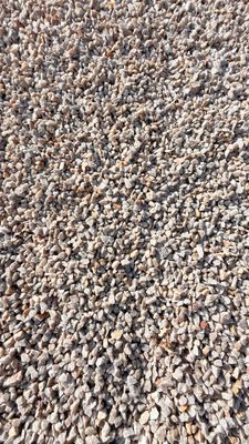 Caramel Crush 9.5mm 300x600 bags between 15-20kg