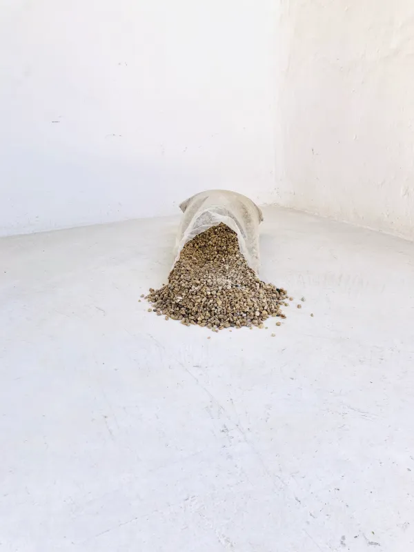 BULK Caramel Crush 9.5mm - 50 bags R35 per bag