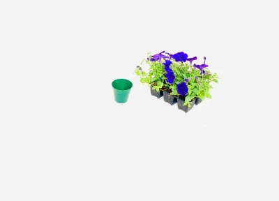 Plastic Pot Green Color  7.5cmPot