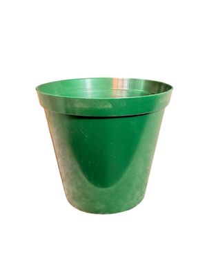 Plastic Pot Green Color  7.5cmPot
