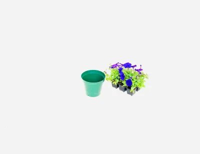 15cm Pot Green Width 15cm x Height 12,5cm