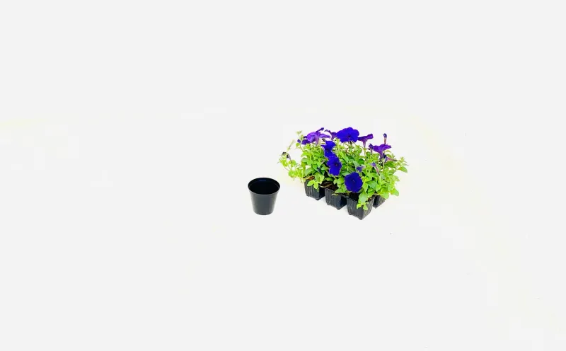 7.5cm Pot Black Width 7,5cm x Height 6,5cm