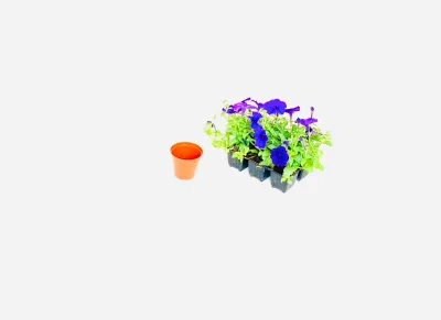 Plastic Pot Terracotta Color 7.5cmPot