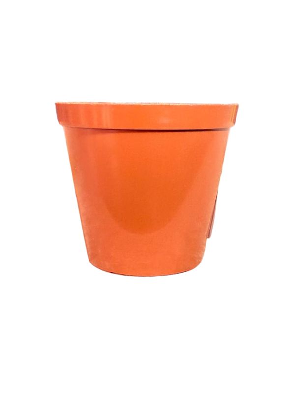 Plastic Pot Terracotta Color 7.5cmPot