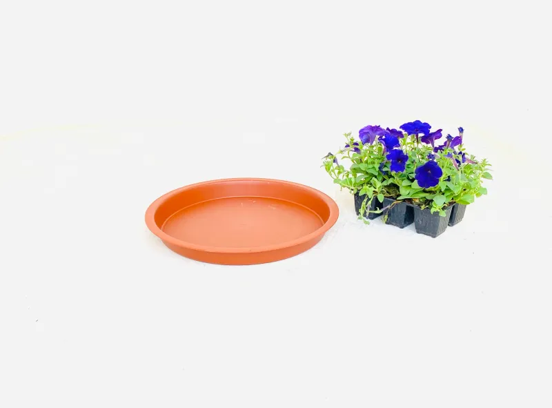 35cm Saucer Terracotta Width 35cm