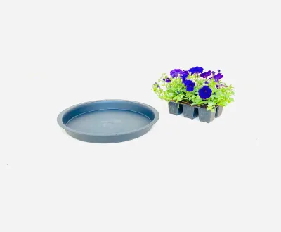 35cm Saucer Black Width 35cm