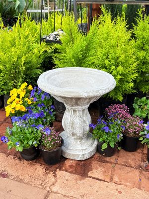 Sugarbowl Birdbath Whitewash Finish Small  H:500mm W:430mm 32kg