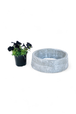 Tree Ring Small Complete Whitewash Finish W:400mm - 11kg