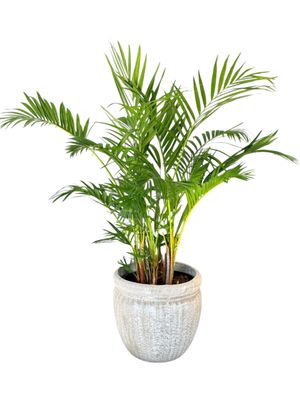 Round Wave Pot Large Whitewash Finish - H350mm x W390mm - 12kg