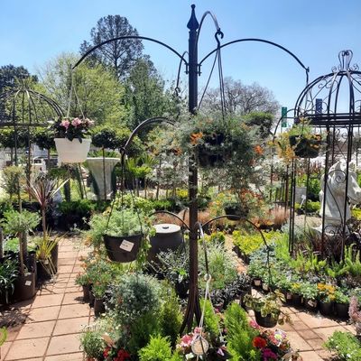 Flowerstand For 12Baskets Height:260cm