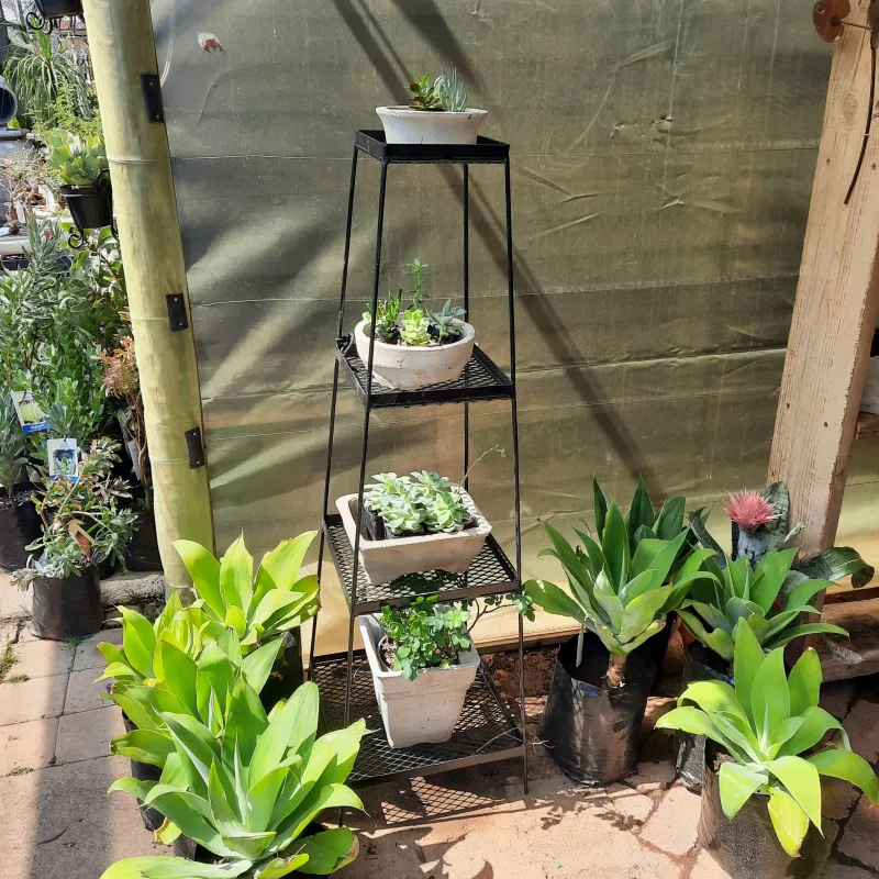 Pebble and Pot Stand "1300x400mm"