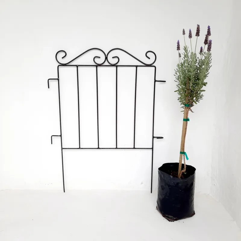 Fence Curl Top 50x53cm