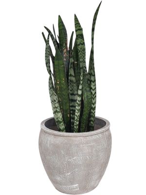 Michaela Planter - H390mm x W420mm - 20kg