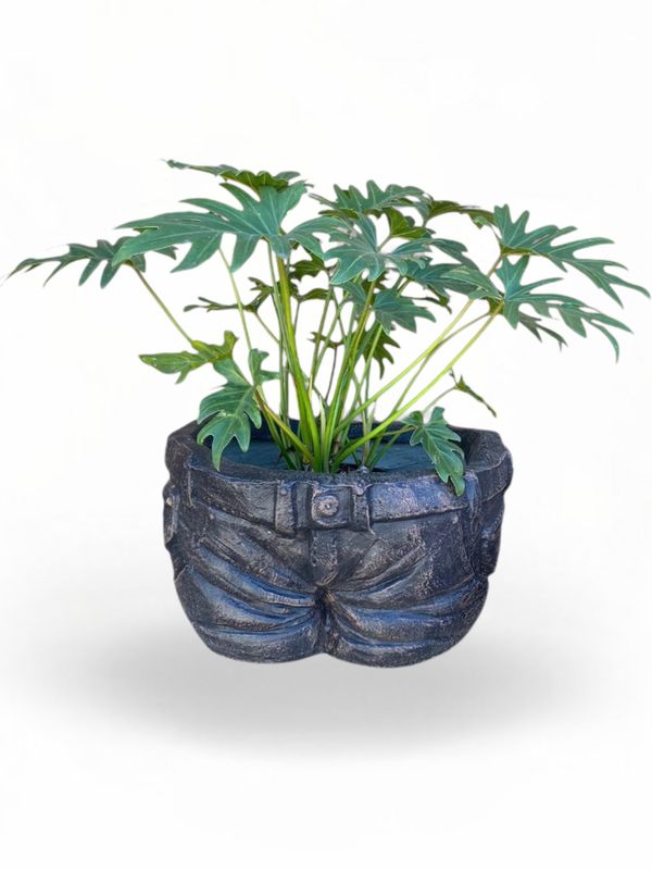 Half Jean Planter Mecca Brown Finish - L440mm x W390mm x H250mm - 14kg