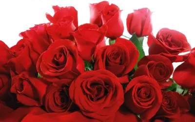 Bark Unlimited "Rose Mix"  30dm³