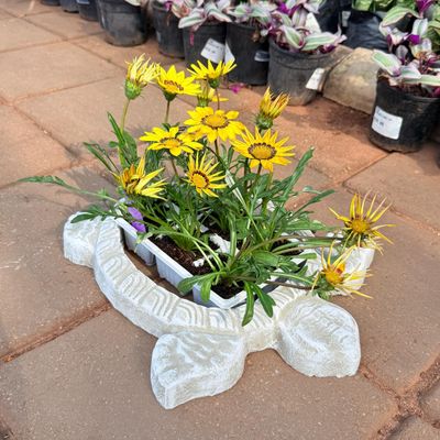 Garden Tortoise Whitewash Finish L-400mm W340mm 3.6kg