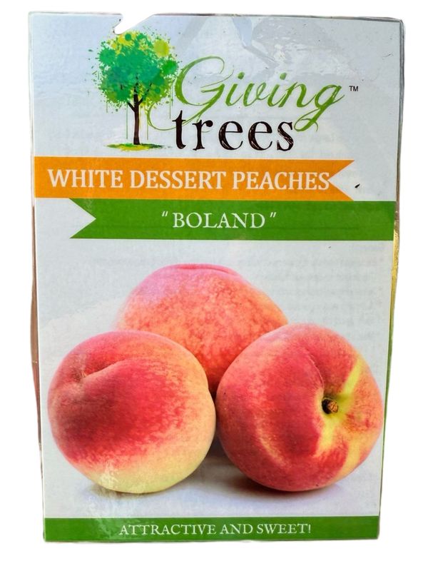 Peach Boland 10Liter