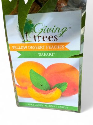 Peach Safari 10Liter