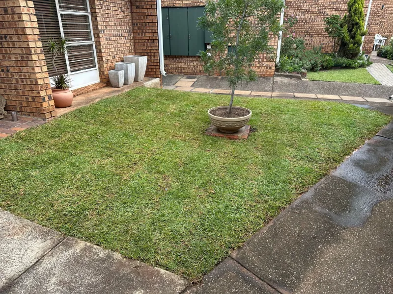 Instant Lawn Installation Service