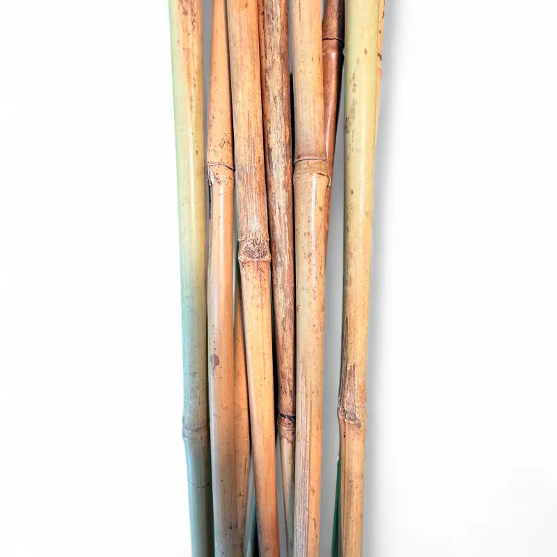 Bamboo Cane "10 Piece" 90cmLength 8/10mm Thick