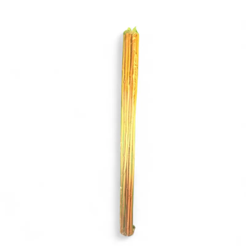Bamboo Cane "10 Piece" 90cmLength 8/10mm Thick