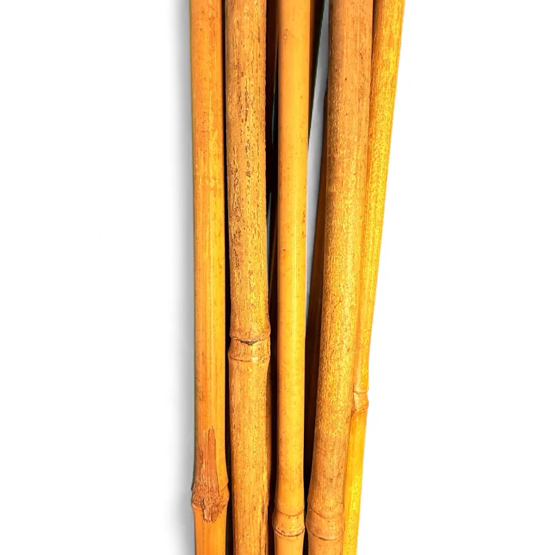 Bamboo Cane "10 Piece" 120cmLength 10/12mm Thick