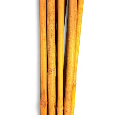 Bamboo Cane "10 Piece" 120cmLength 10/12mm Thick