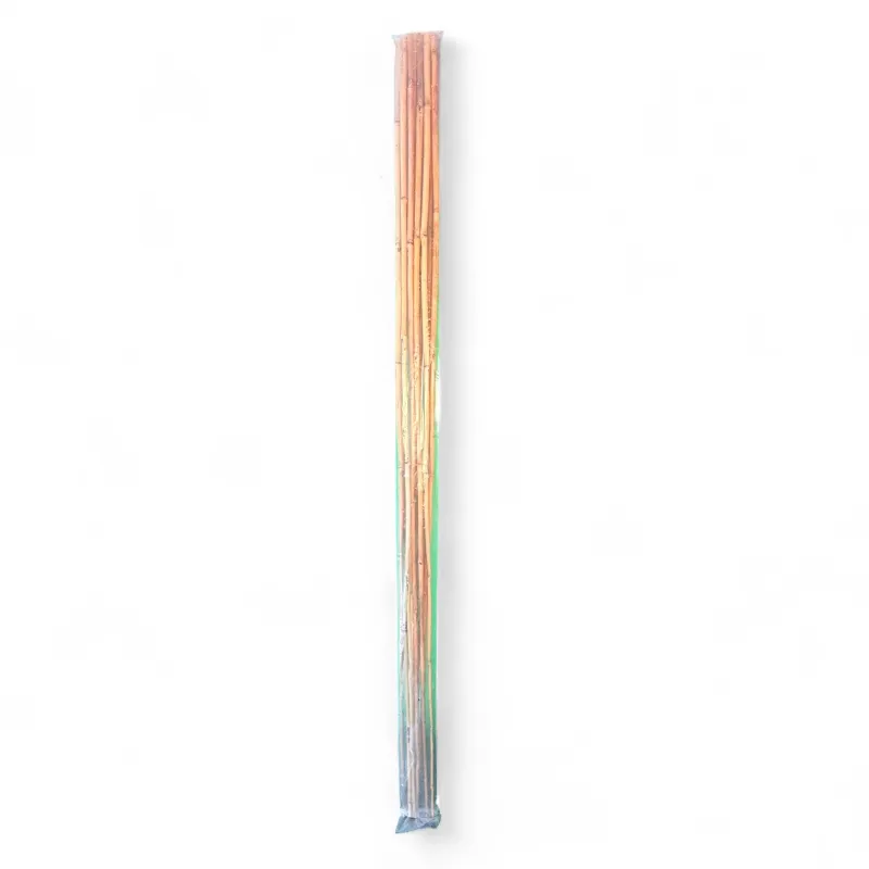 Bamboo Cane "10 Piece" 150cmLength 10/12mm Thick