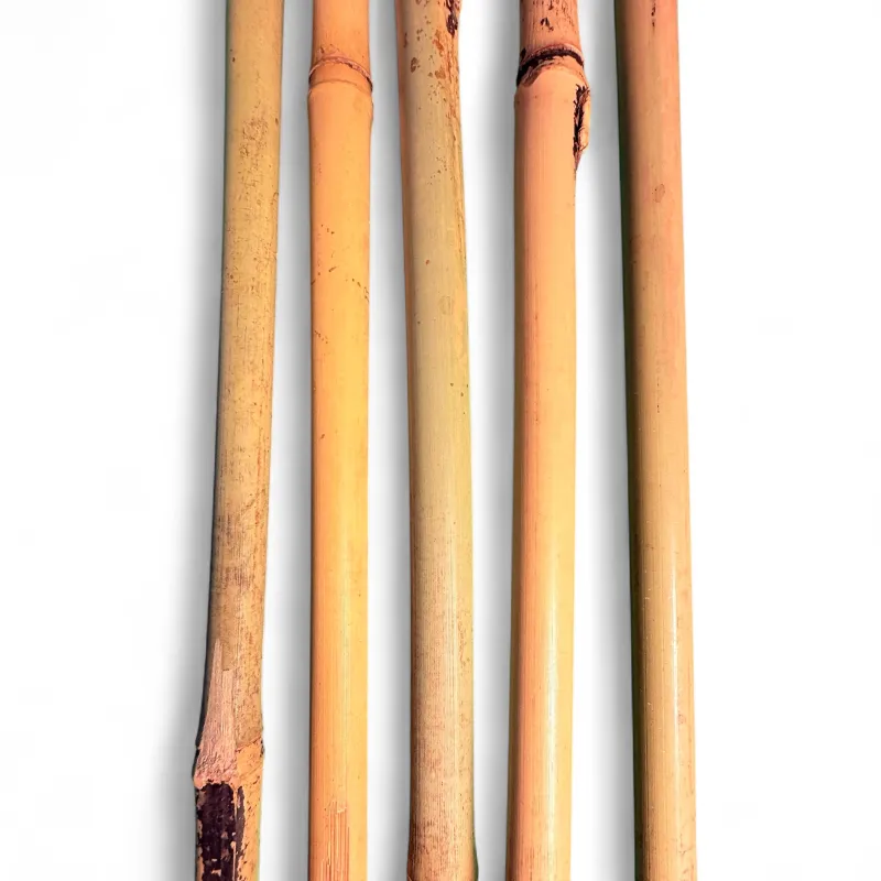 Bamboo Cane "10 Piece" 180cmLength 14/16mm Thick