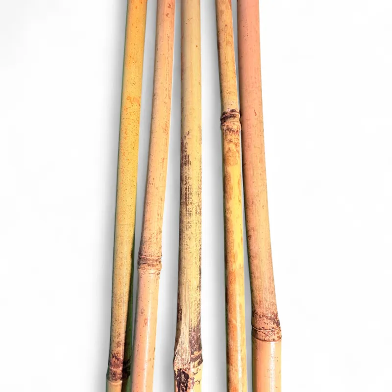 Bamboo Cane "10 Piece" 200cmLength 14/16mm Thick