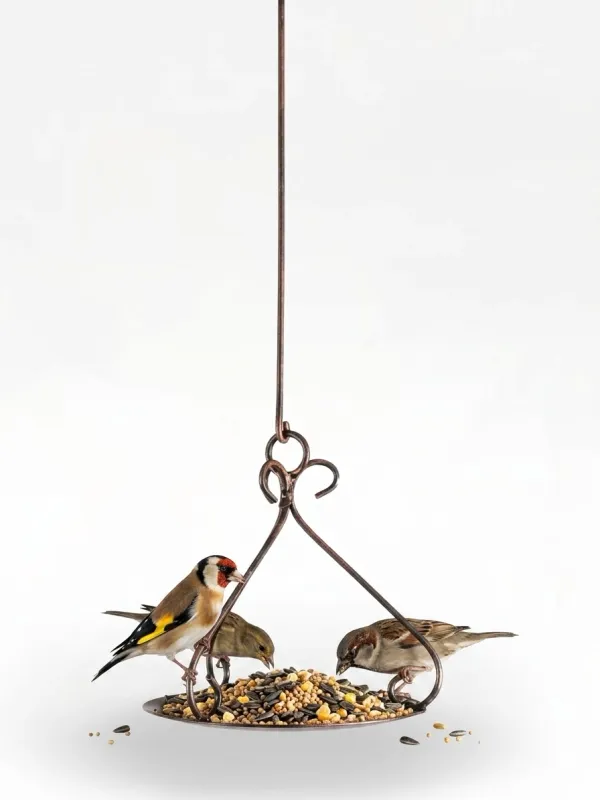 Wrought Iron Birdfeeder Plate &amp; Hook