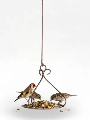 Wrought Iron Birdfeeder Plate &amp; Hook