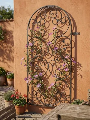 Wrought Iron Arched Romance Trellis 1.8mx85cm
