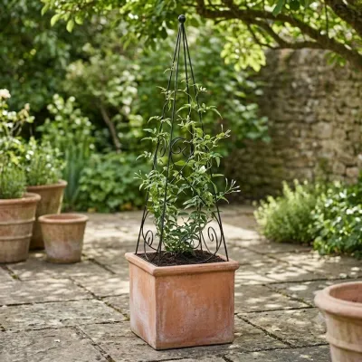 Wrought Iron Obelisk Libby Large 200cmx60cm