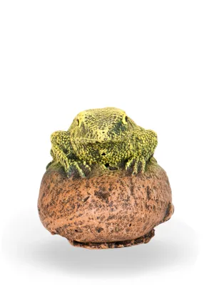 Painted Frog Baby Lenght:70mm Width:50mm Height:60mm