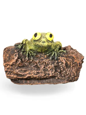 Painted Rain Frog Lenght:120mm Width:120mm Height:110mm