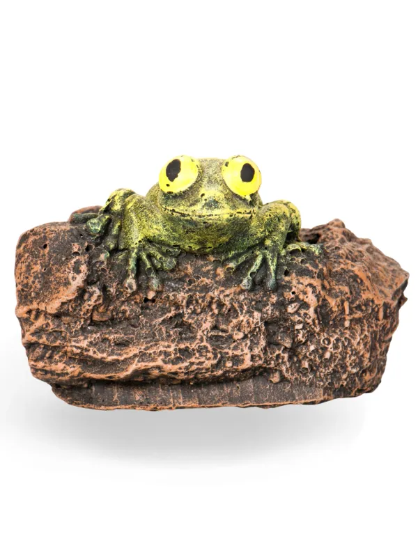 Painted Rain Frog Lenght:120mm Width:120mm Height:110mm
