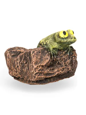 Painted Rain Frog Lenght:120mm Width:120mm Height:110mm