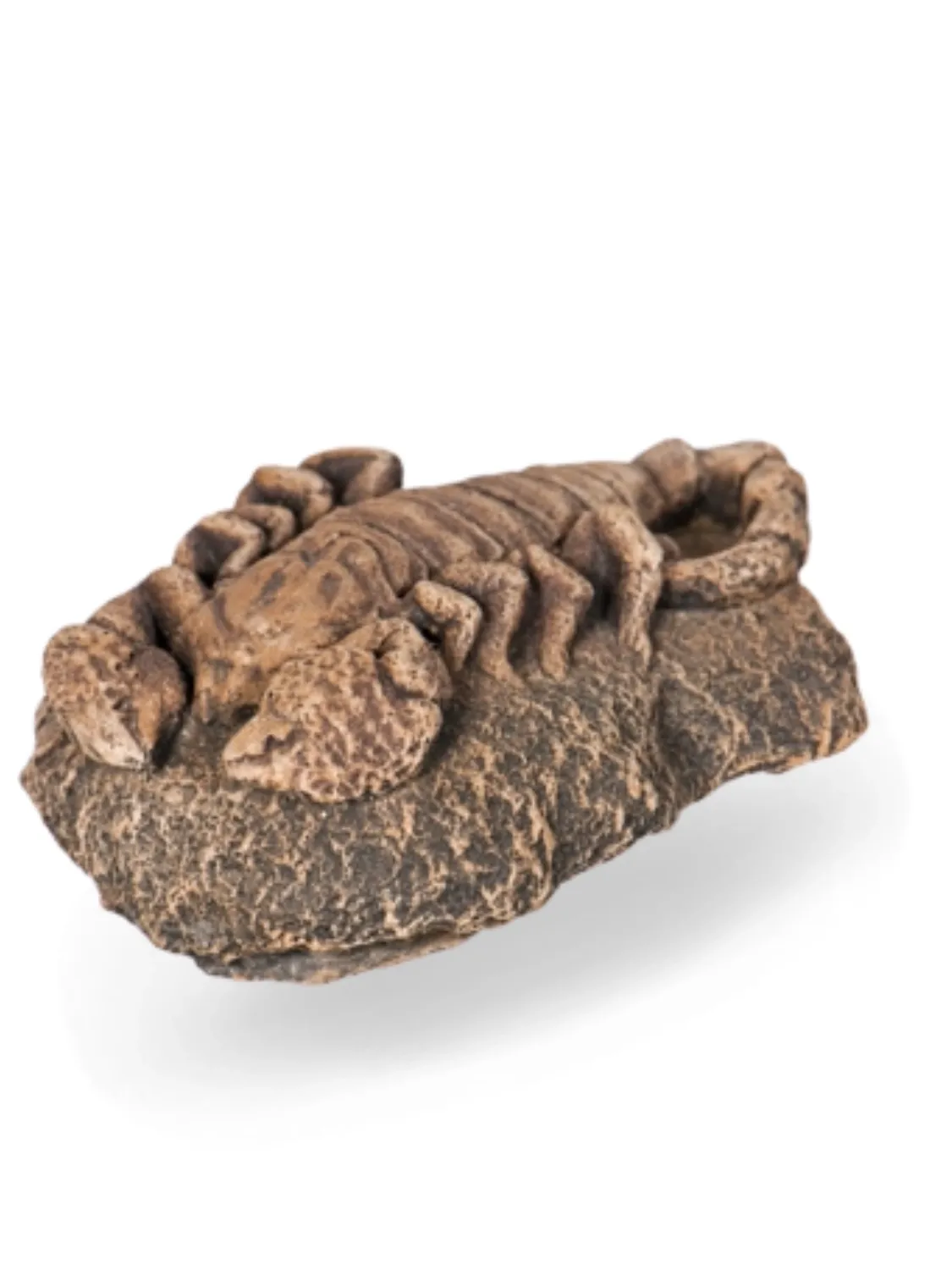 Painted Scorpion Lenght:120mm Width:100mm Height:50mm
