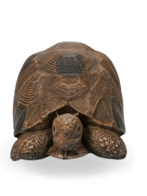 Painted Tortoise Extra Large Lenght:590mm Width:360mm Height:300mm