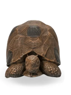 Painted Tortoise Extra Large Lenght:590mm Width:360mm Height:300mm
