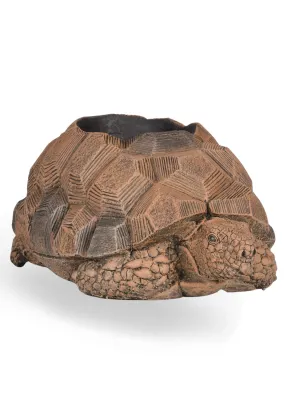 Painted Tortoise Pot Length:610mm Width:350mm Height:260mm
