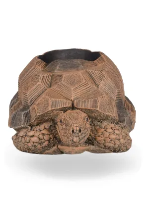 Painted Tortoise Pot Length:610mm Width:350mm Height:260mm