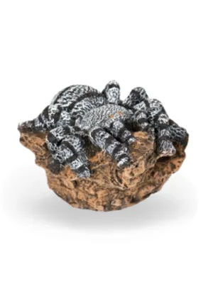 Painted Spider Lenght:100mm Width:100mm Height:120mm