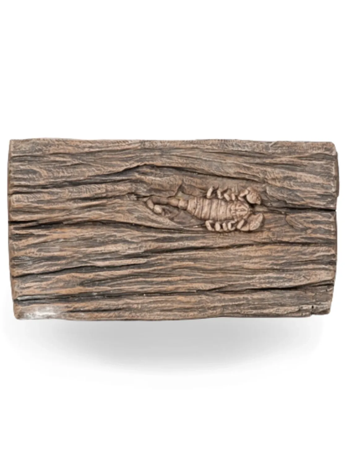 Painted Scorpion Stepping Stone