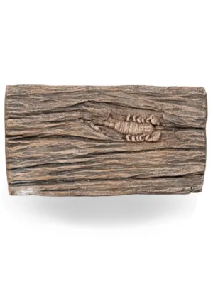 Painted Scorpion Stepping Stone