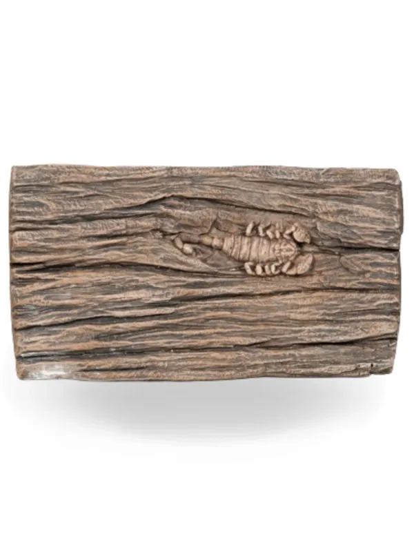 Painted Scorpion Stepping Stone