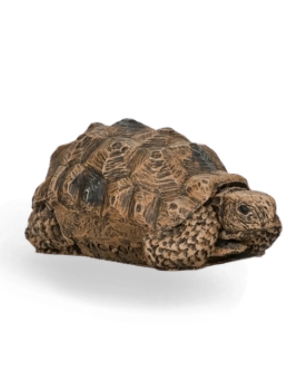 Painted Tortoise Small Lenght:100mm Width:60mm Height:50mm