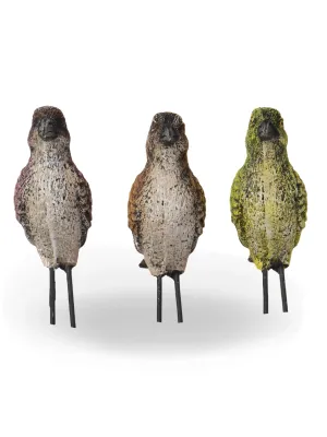 Painted Birds Medium Each Mixed Designs Length:60mm Width:200mm Height:110mm