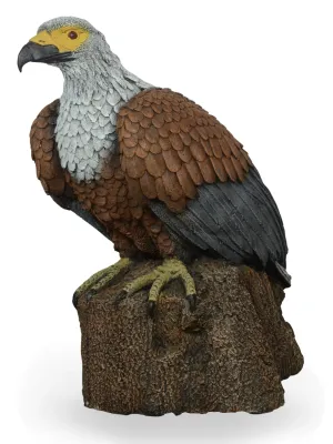 Painted Fish Eagle Small Length:690mm Width:390mm Height:400mm